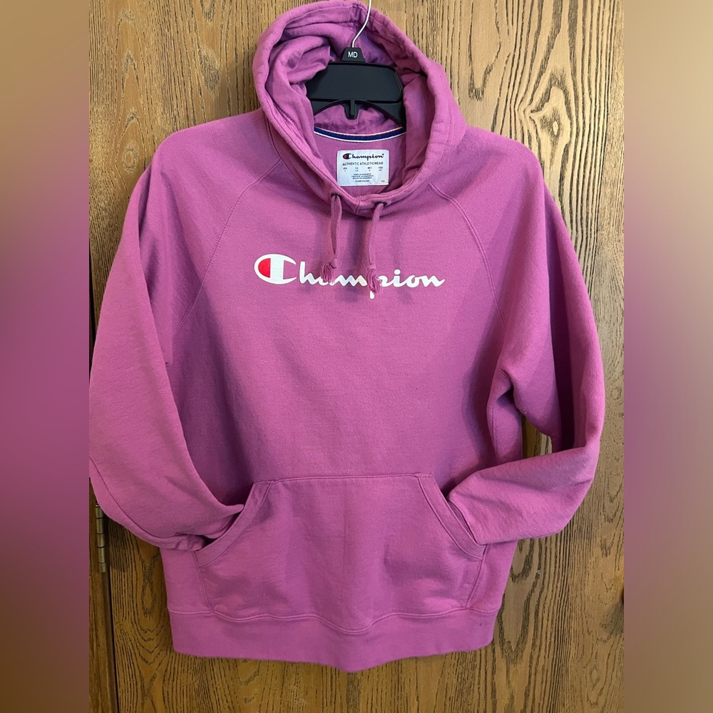 Champion hooded pullover sweatshirt, size Large.